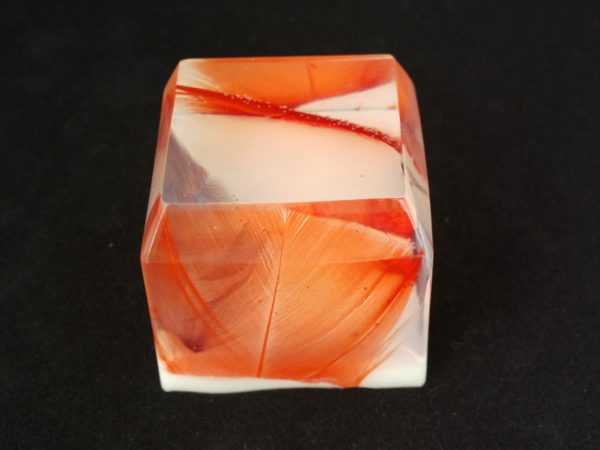 Orange & Grey Feathers in Cube